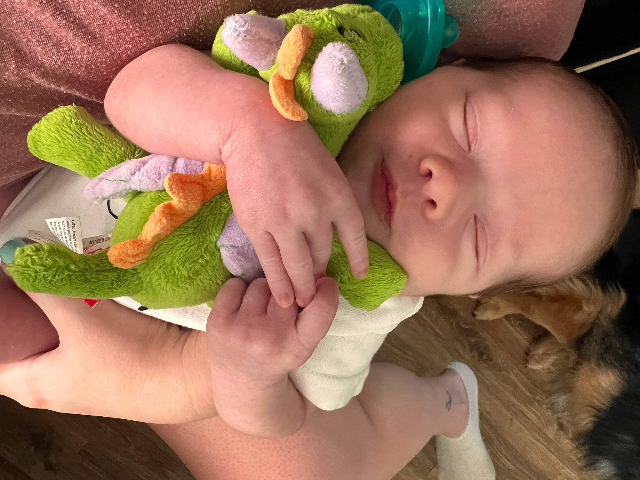 Colson joined the competition — help win amazing prizes! baby, baby_products, baby_safety, baby_sleeping, baby_toddler_clothing, child, comfort, eyelash, finger, gesture, green, hand, happy, mouth, nail, person, skin, stuffed_toy, thumb, toddler