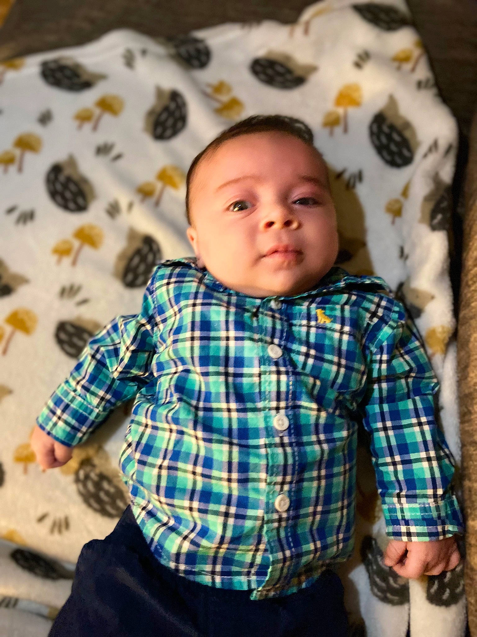 Luis is registered to the contest to win money with this photo: baby, baby_toddler_clothing, cheek, chin, collar, dress_shirt, eye, face, facial_expression, hairstyle, head, iris, person, photograph, plaid, skin, sleeve, tartan, textile, toddler
