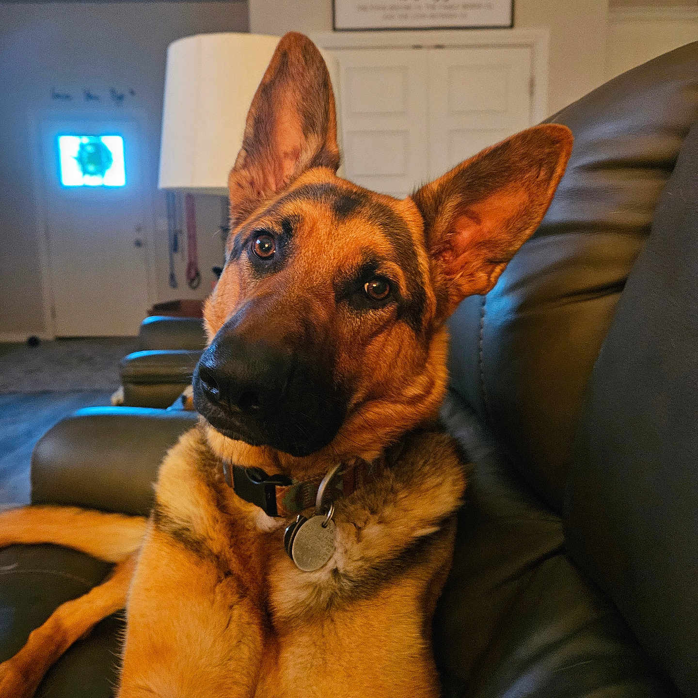 Willow