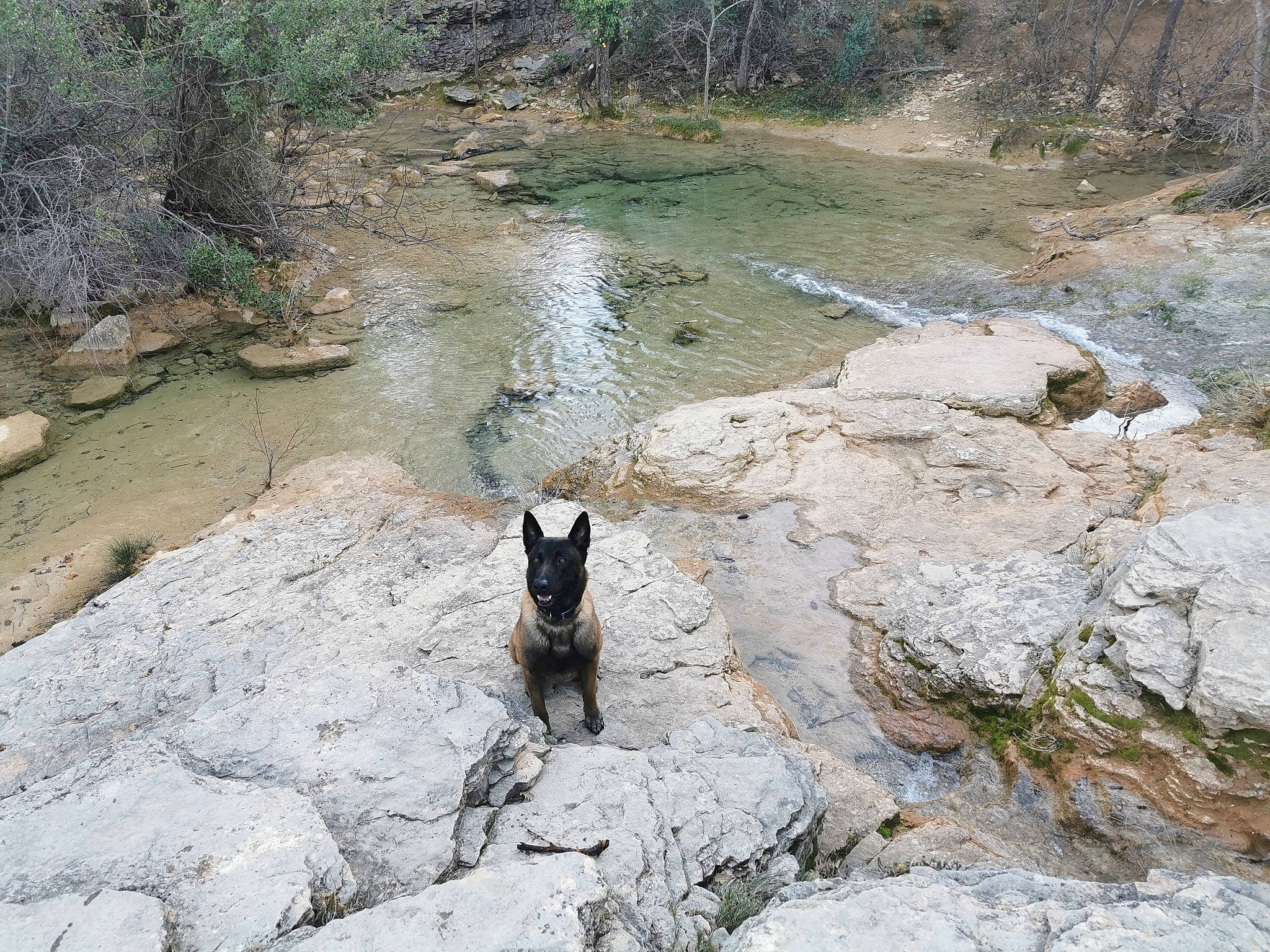 Iako participe au concours pour gagner de l'argent avec cette photo : bedrock, canidae, carnivore, geological_phenomenon, rock, watercourse