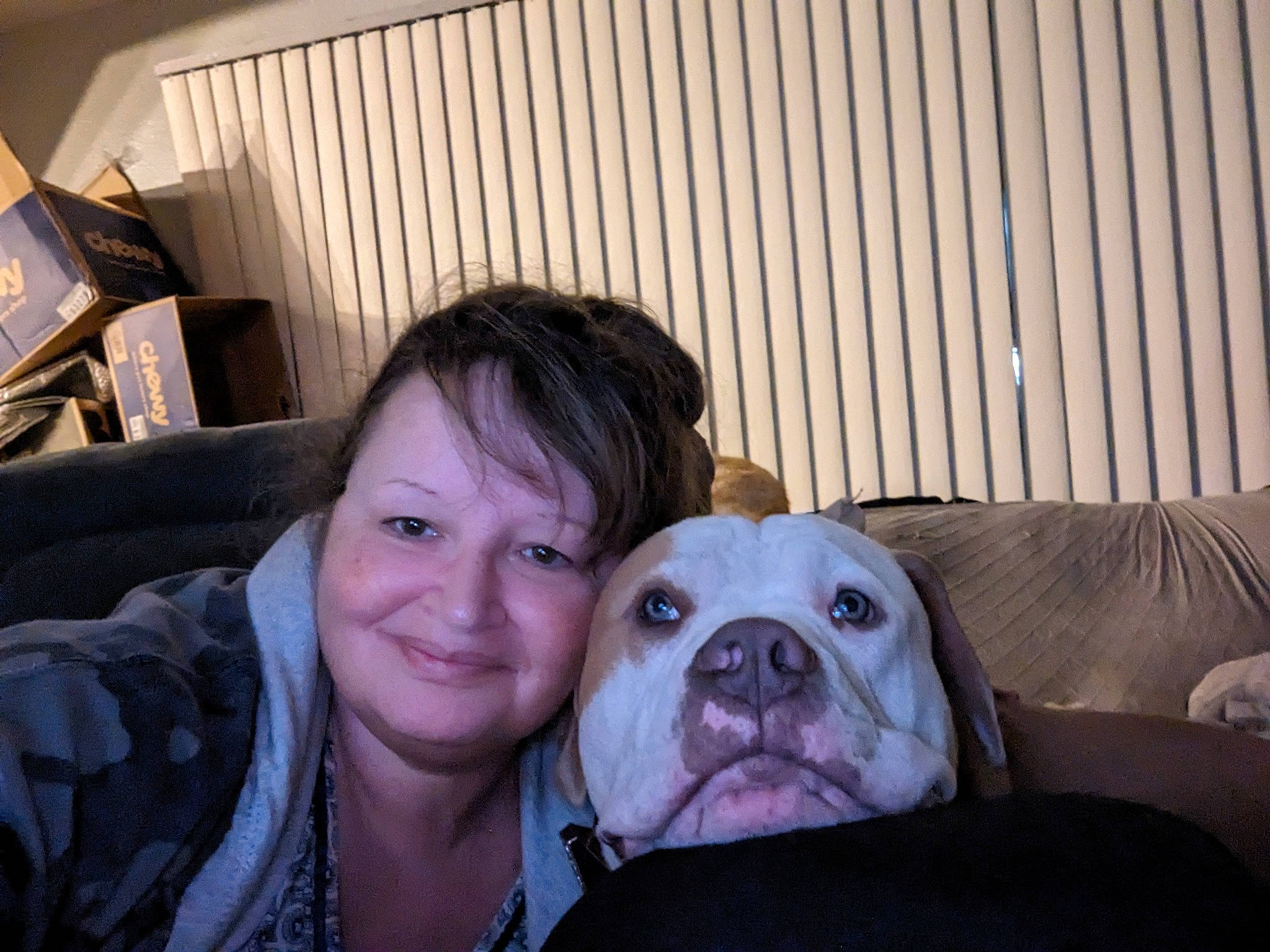 Simba is registered to the contest to win money with this photo: bulldog, carnivore, comfort, companion_dog, couch, dog, dog_breed, eye, fawn, fun, fur, happy, head, iris, selfie, smile, snout, toy_dog, whiskers, wrinkle