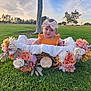 baby, child, basket, flowers, grass, outdoor, nature, headband, orange_clothing, green_grass, tree, sunset, sky, park, cute, infant, portrait, flower_arrangement, smiling, sitting