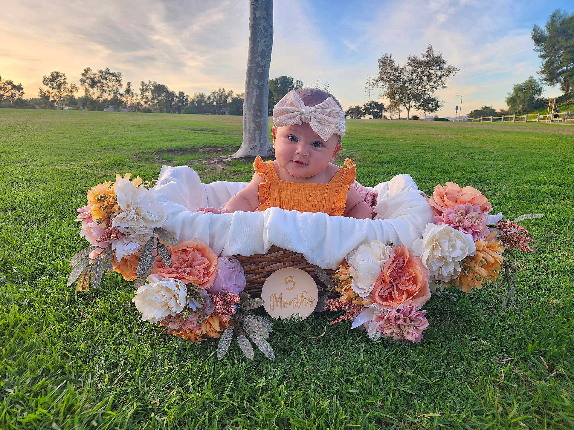 Lucy is registered to the contest to win money with this photo: baby, child, basket, flowers, grass, outdoor, nature, headband, orange_clothing, green_grass, tree, sunset, sky, park, cute, infant, portrait, flower_arrangement, smiling, sitting