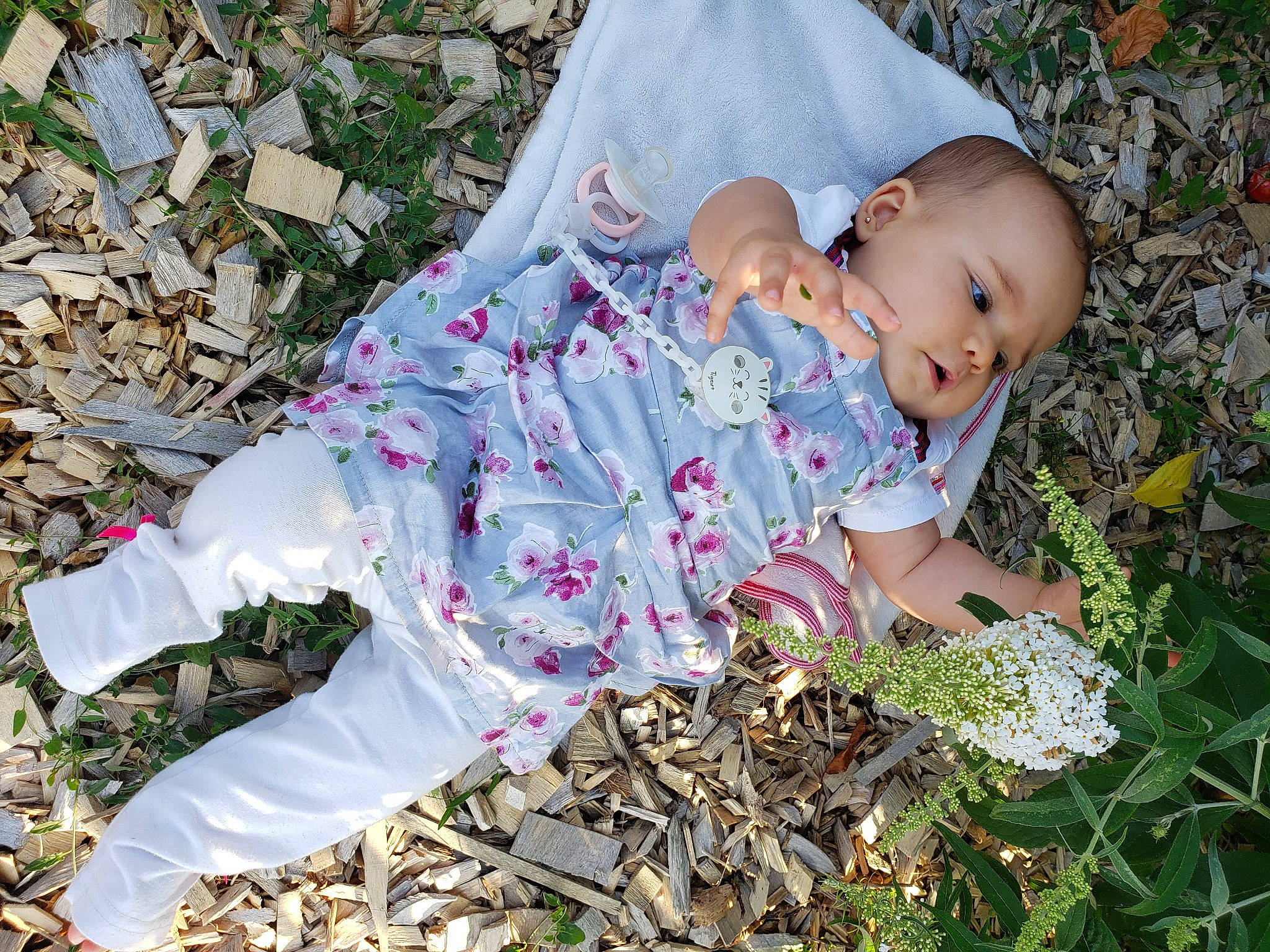 Lys a rejoint le concours — aidez-le/la à gagner de superbes lots ! adaptation, autumn, baby, baby_toddler_clothing, botany, child, garden, grass, grass_family, happy, pattern, people_in_nature, person, plant, portrait_photography, sitting, sleeve, soil, terrestrial_plant, toddler