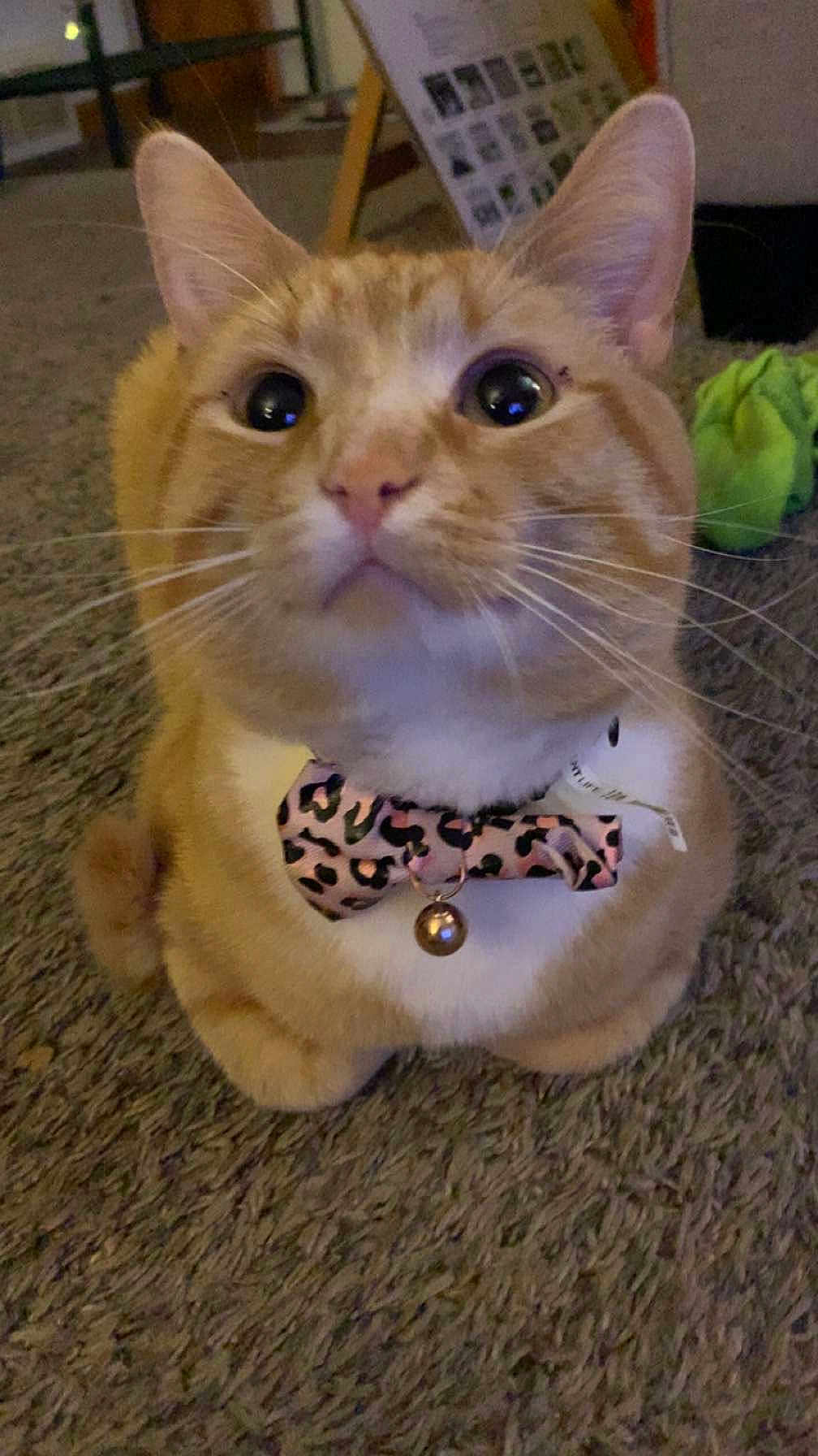 Sid