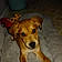 Dozer