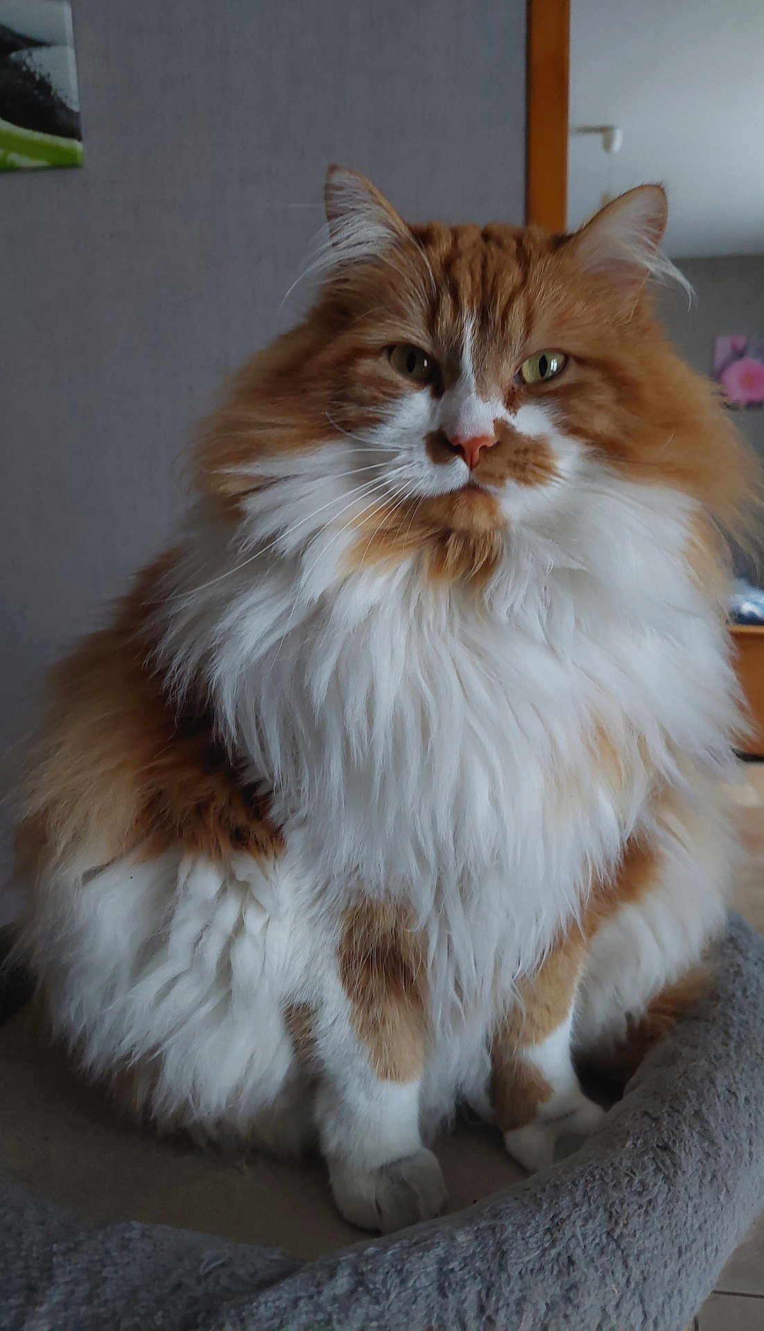 Caramel