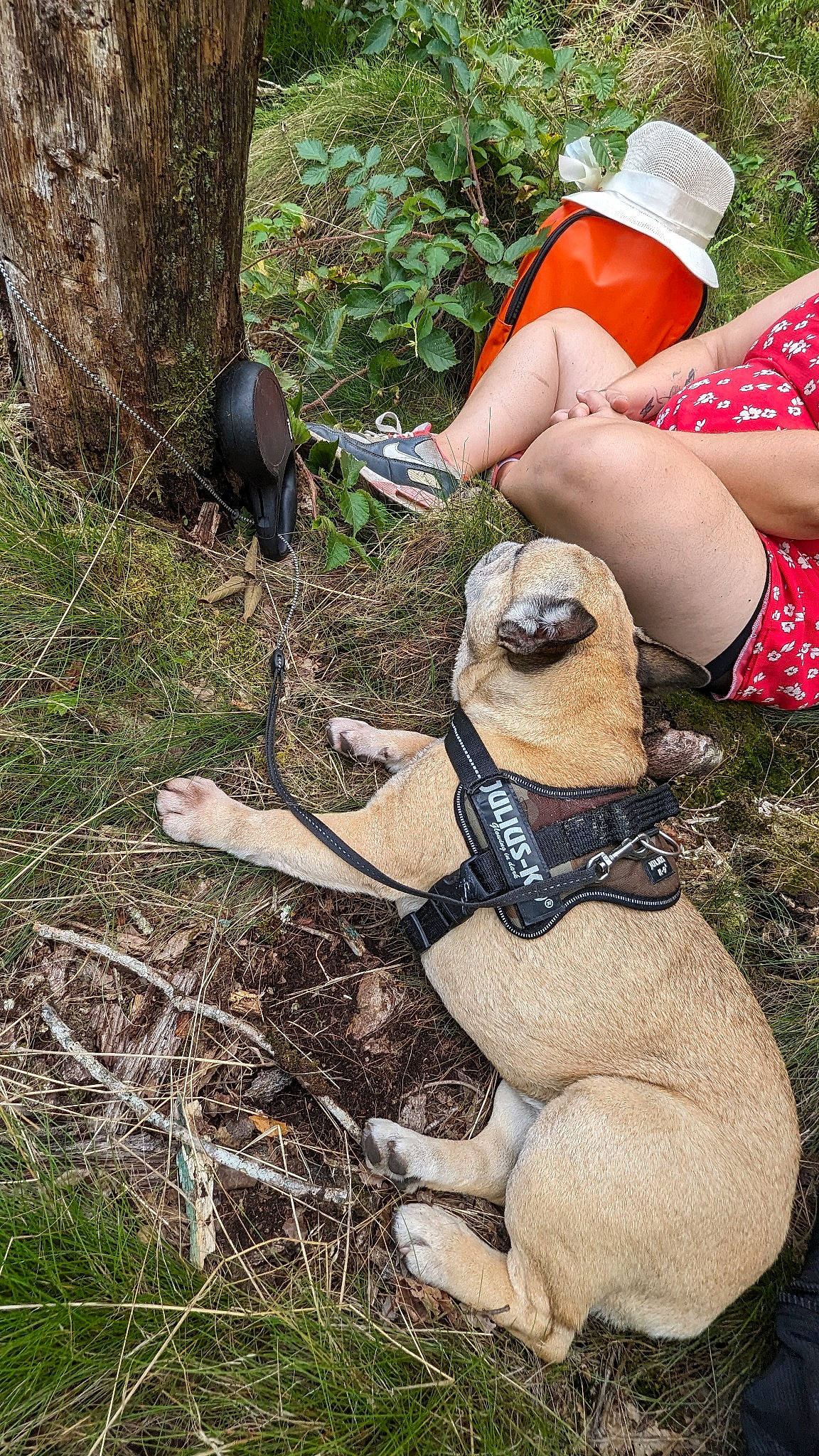 Loukia participe au concours pour gagner de l'argent avec cette photo : abdomen, adventure, chest, fawn, foot, goggles, grass, human_leg, knee, leisure, people_in_nature, personal_protective_equipment, plant, recreation, shorts, soil, sunglasses, thigh, tree, trunk