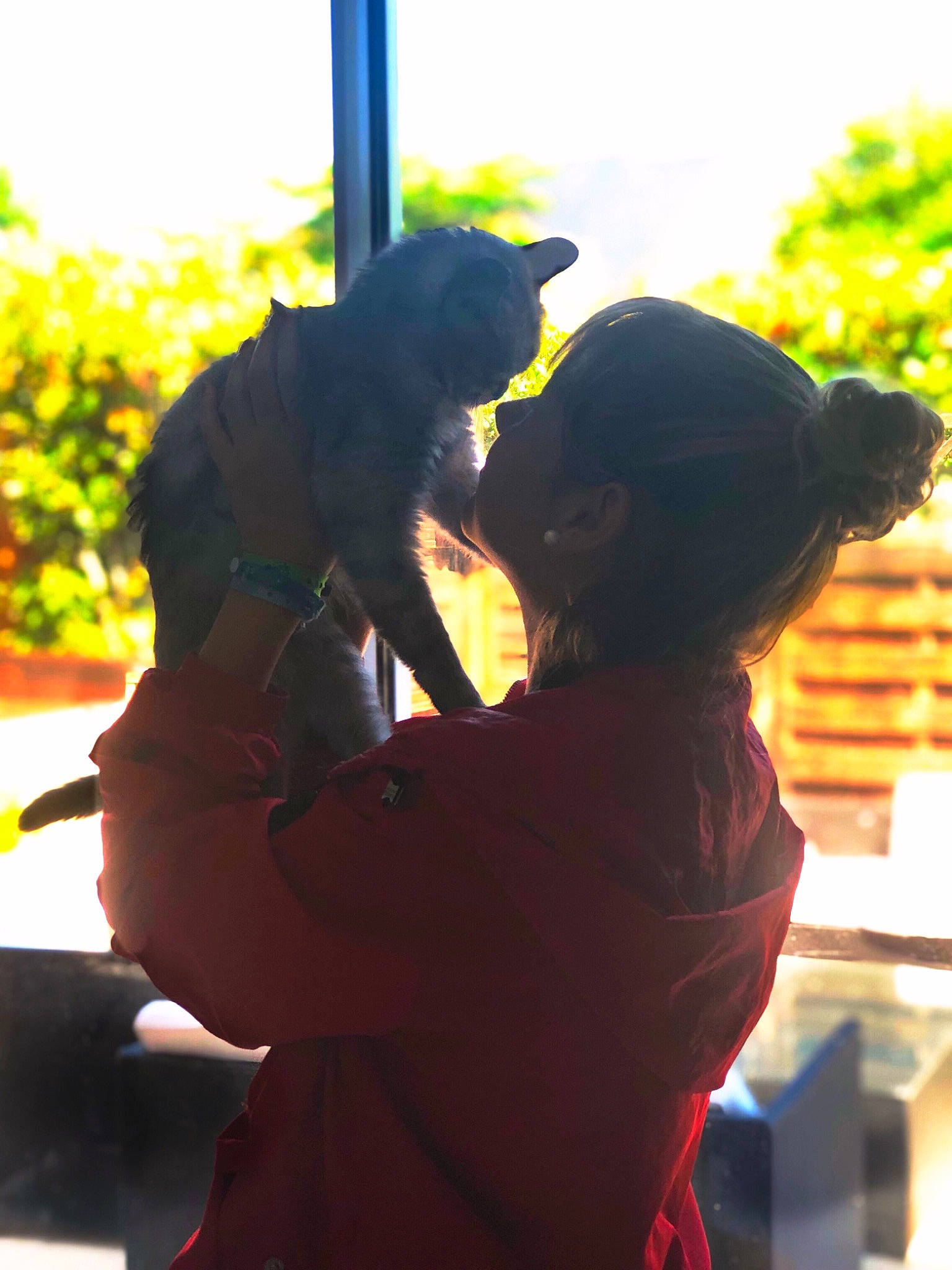 Chanel participe au concours pour gagner de l'argent avec cette photo : backlighting, fun, gesture, organism, photography, plant, silhouette, tree, vacation