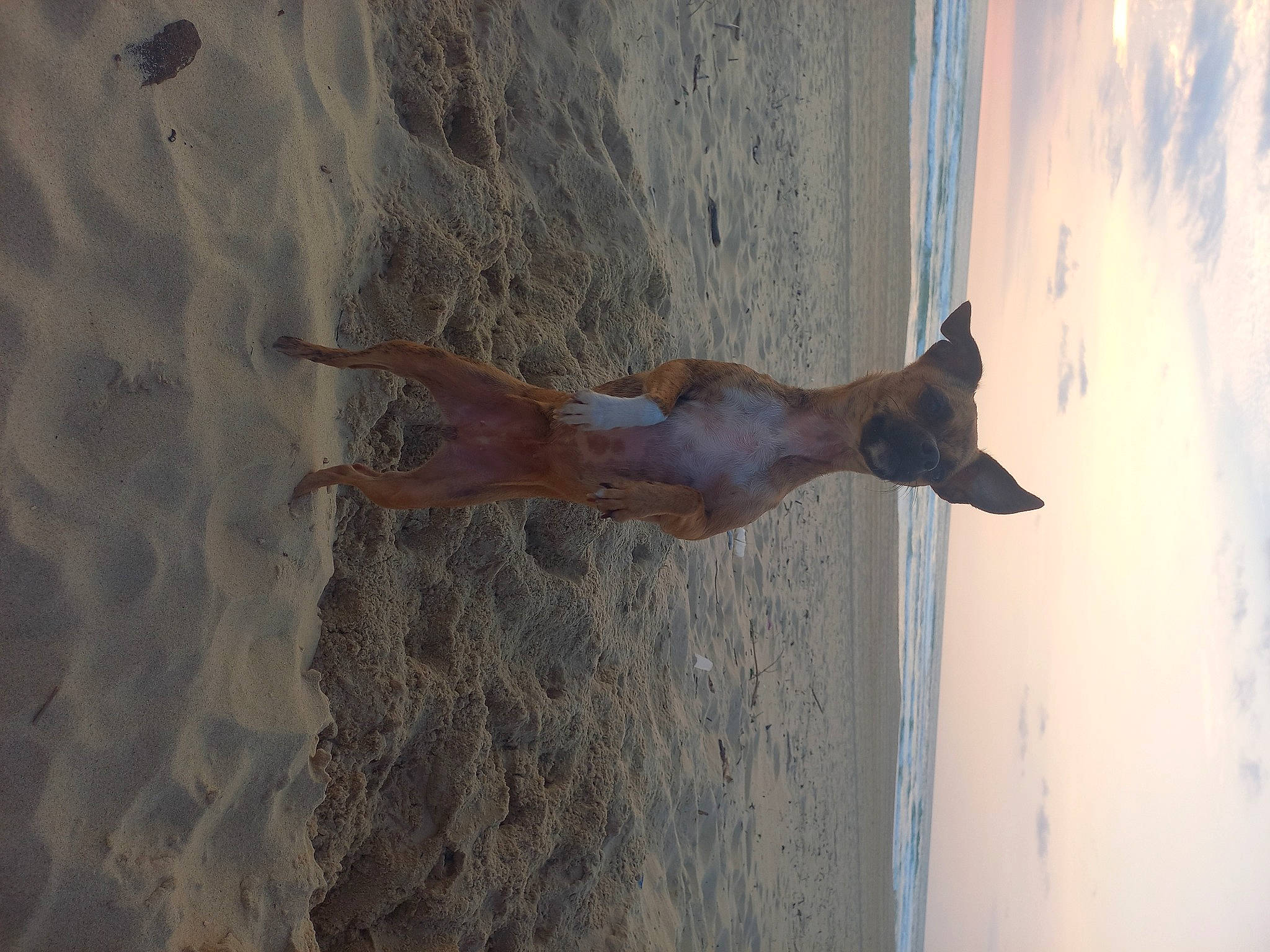 Sweeny a rejoint le concours — aidez-le/la à gagner de superbes lots ! art, azure, beach, cloud, elbow, fawn, fun, human_body, human_leg, landscape, leg, natural_environment, ocean, sand, sculpture, shadow, sky, water, wind_wave, wood