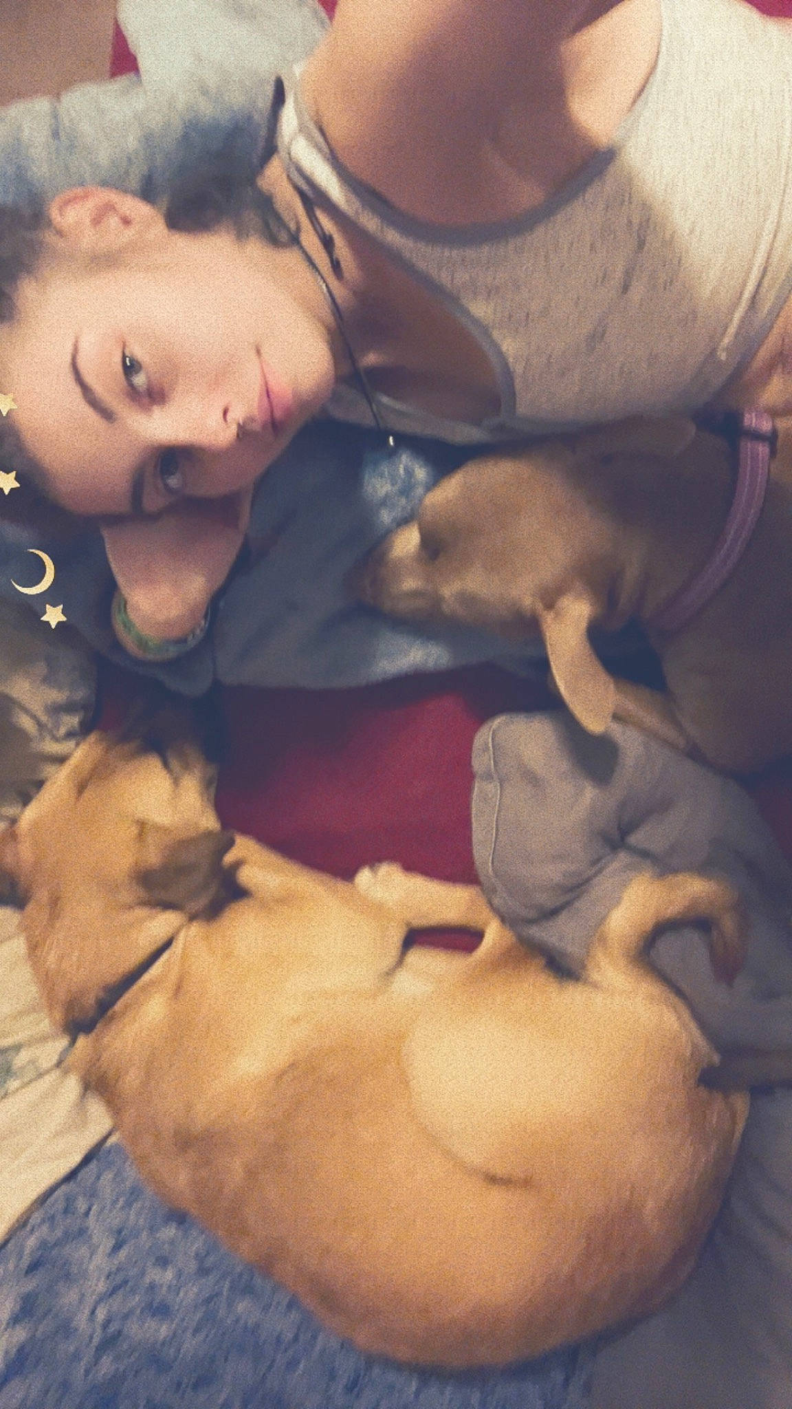 Nala is registered to the contest to win money with this photo: bedtime, canidae, carnivore, cloud, comfort, companion_dog, dog, dog_breed, fawn, fur, guard_dog, happy, love, nap, paw, puppy_love, sporting_group, toy_dog, whiskers, working_animal