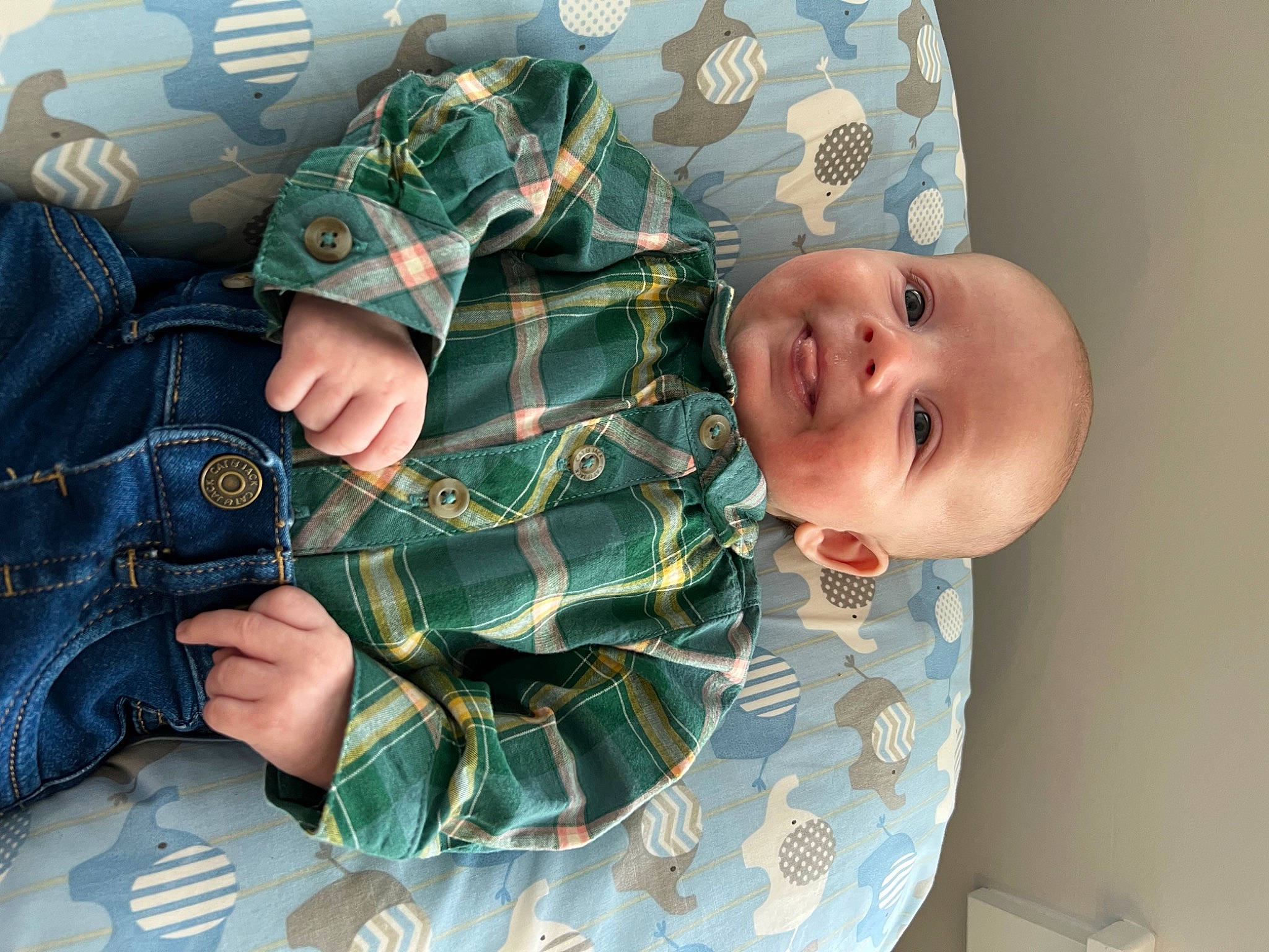 Wyatt