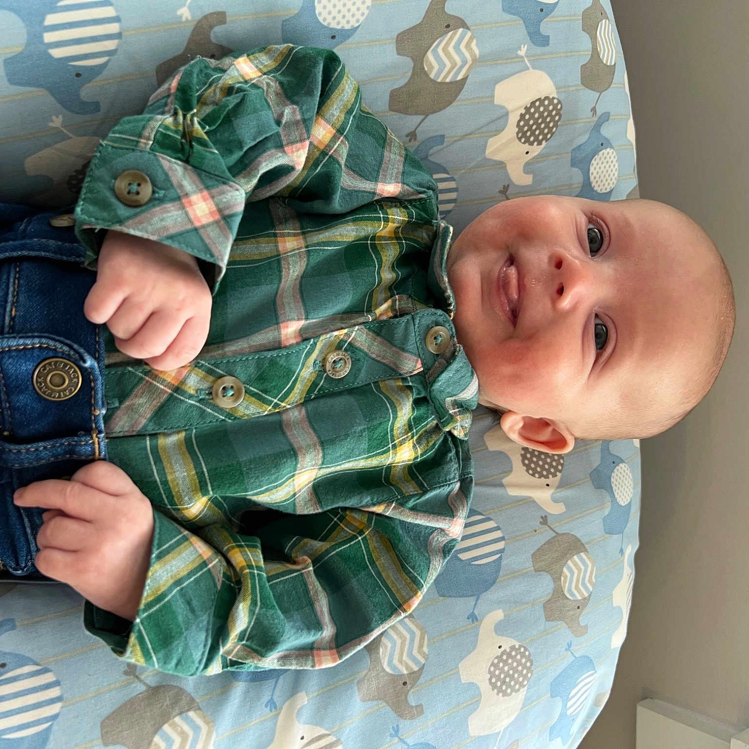 Wyatt