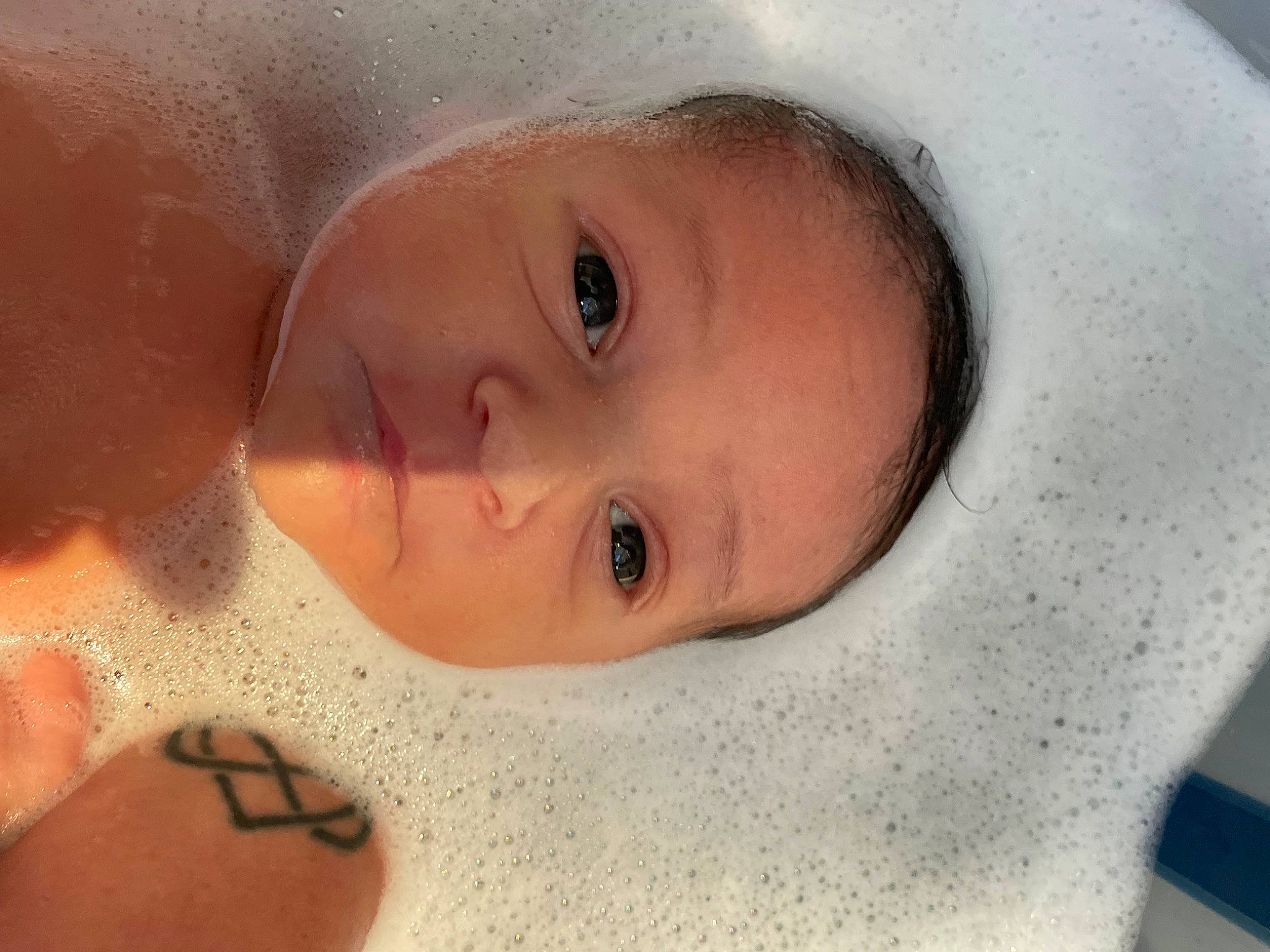 Mattia participe au concours pour gagner de l'argent avec cette photo : cheek, chin, eye, eyebrow, eyelash, face, facial_expression, forehead, hair, head, human_body, iris, lip, mouth, muscle, neck, nose, person, skin, smile