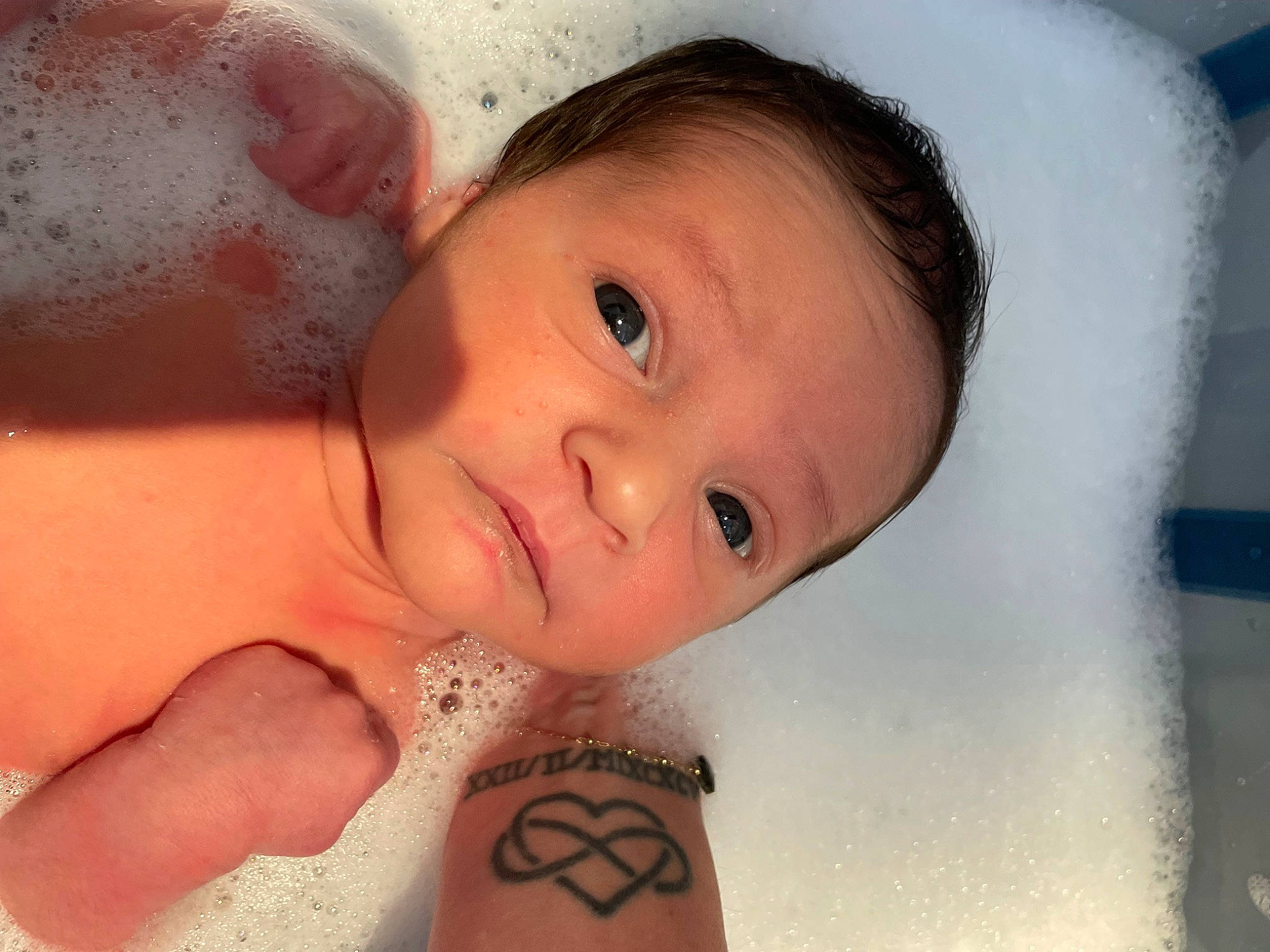 Mattia a rejoint le concours — aidez-le/la à gagner de superbes lots ! arm, cheek, chin, eye, eyebrow, eyelash, face, forehead, hair, hand, head, joint, lip, mouth, muscle, neck, nose, organ, person, skin