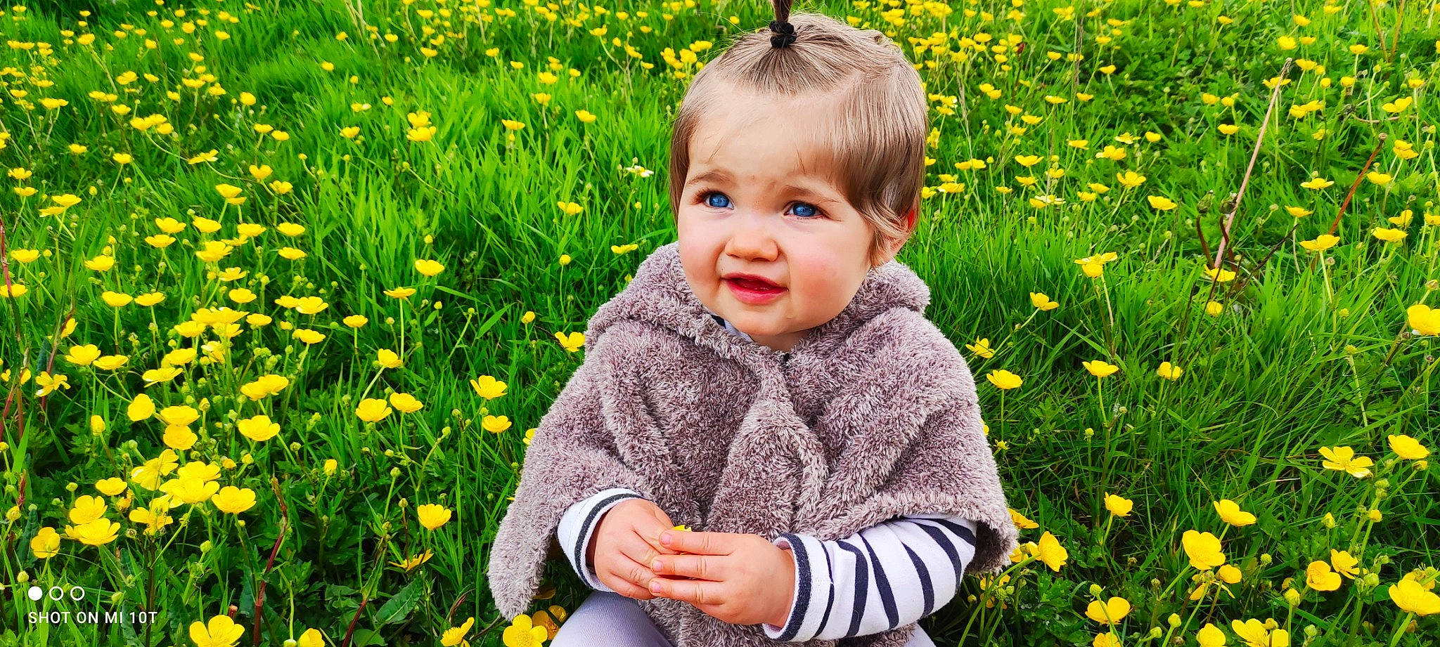 Ruby a rejoint le concours — aidez-le/la à gagner de superbes lots ! baby, botany, flower, grass, grassland, green, groundcover, happy, leaf, meadow, natural_landscape, nature, people_in_nature, person, petal, photograph, plant, smile, summer, toddler