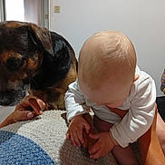 Onizuka a rejoint le concours — aidez-le/la à gagner de superbes lots ! baby, dog, hand, blanket, indoor, person, skin, fur, light, comfort, friendship, cozy, curious, holding, paw, resting, human, animal, interaction, casual