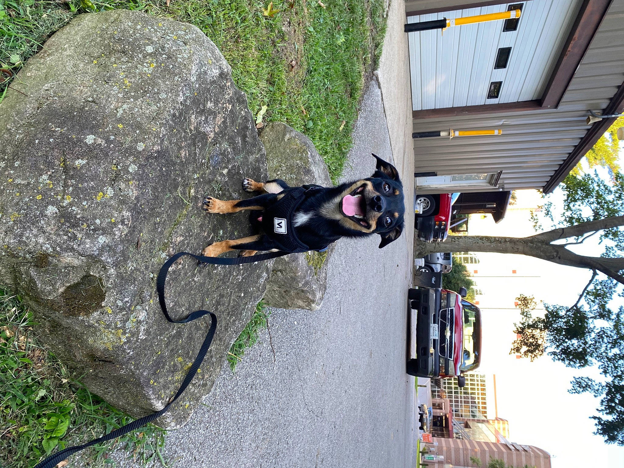 Bobo is registered to the contest to win money with this photo: adventure, asphalt, bedrock, car, extreme_sport, grass, hat, leisure, plant, recreation, rock, rock_climbing_equipment, sky, tire, tree, wheel, wire