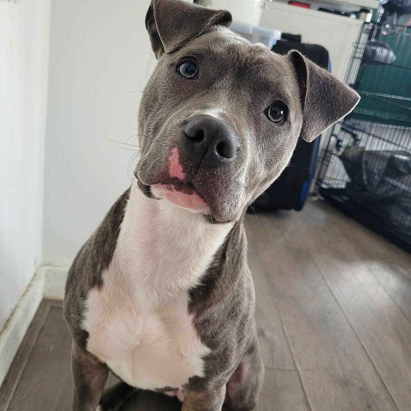 Kyra