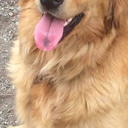 Ruby