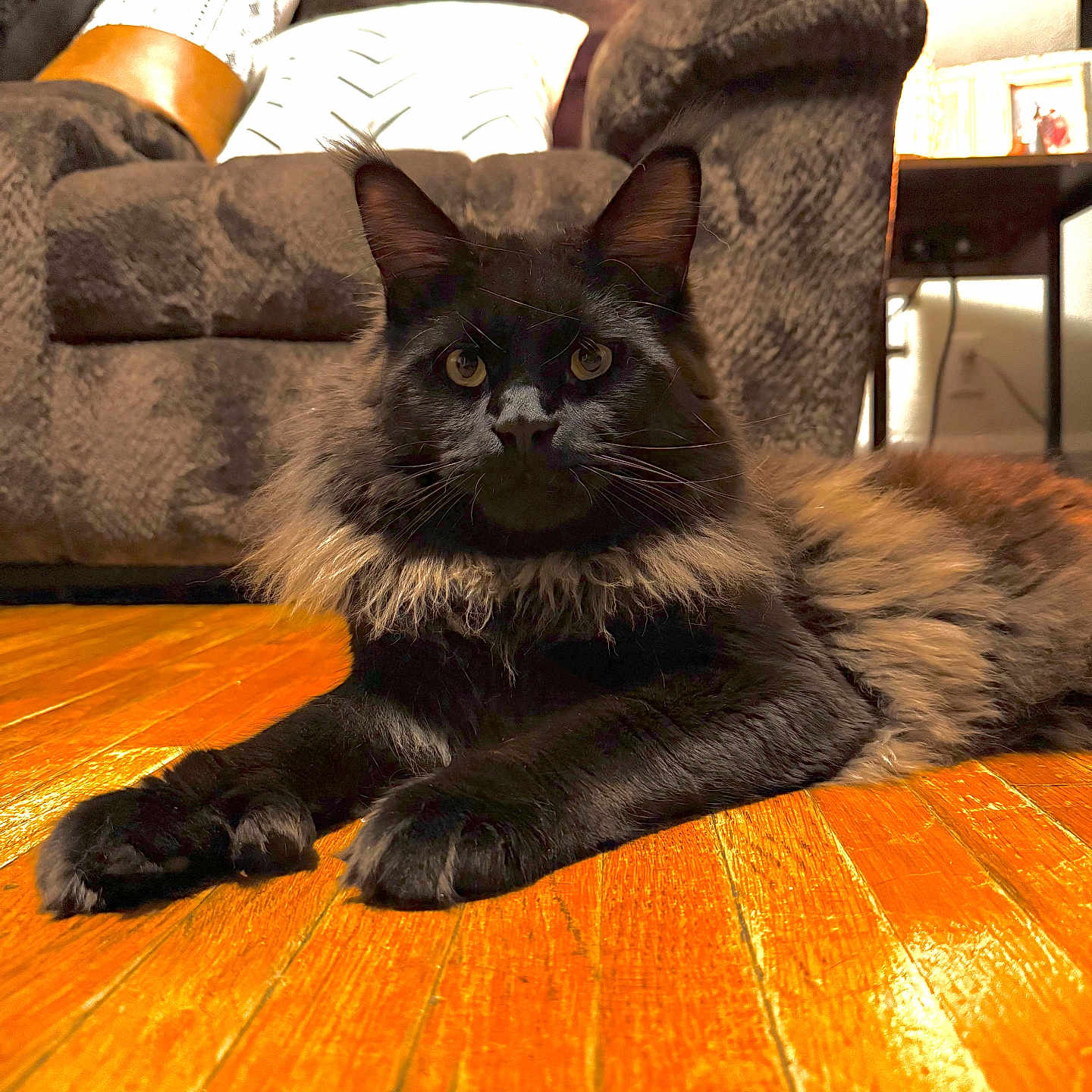 Apollo