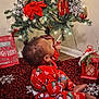 Tylan is registered to the contest to win money with this photo: blanket, celebration, child, christmas_tree, cute, decorations, family, festive, floor, holiday, indoors, lights, ornaments, pajamas, red, seasonal, sitting, toddler, toy, winter