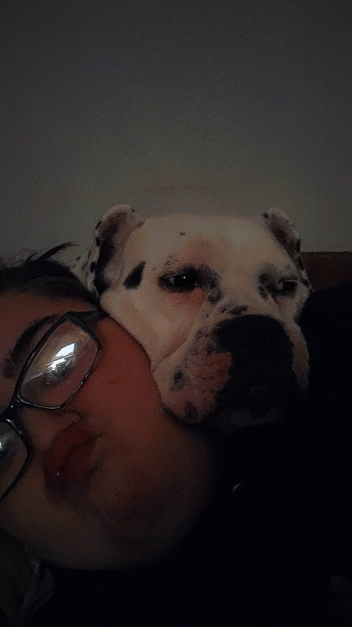 Cricket joined the competition — help win amazing prizes! carnivore, companion_dog, dog, dog_breed, ear, eyelash, eyewear, fawn, flash_photography, gesture, glasses, guard_dog, happy, jaw, selfie, snout, sporting_group, terrestrial_animal, whiskers, working_animal