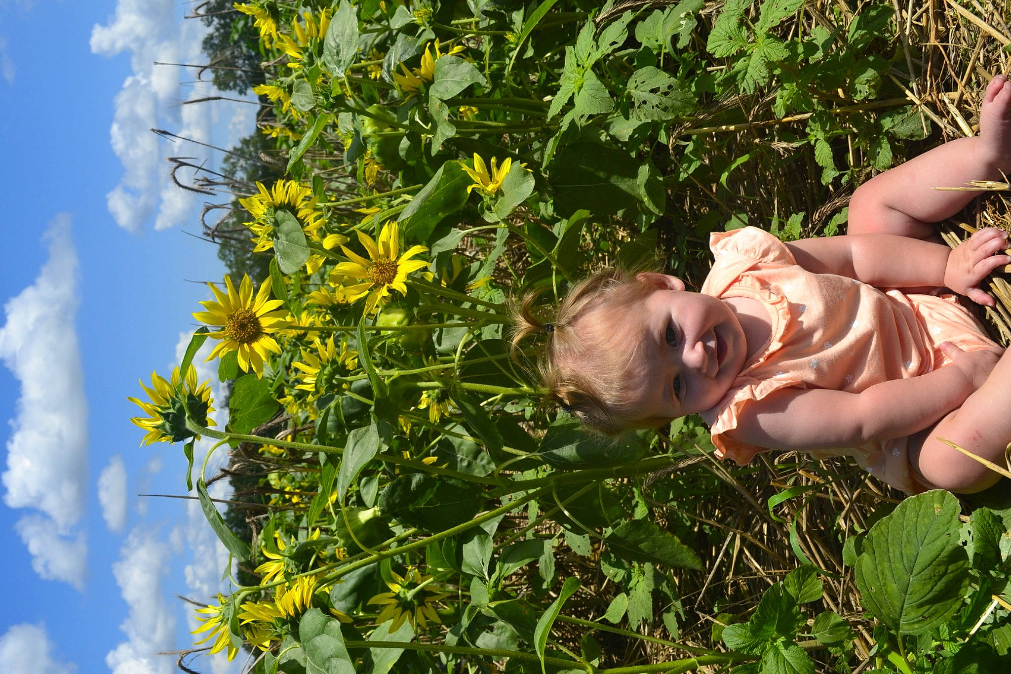 Nicole is registered to the contest to win money with this photo: annual_plant, barechested, botany, chest, cloud, flower, flowering_plant, grass, happy, herbaceous_plant, meadow, people_in_nature, person, petal, plant, shrub, sky, smile, sunflower, thigh