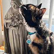 Faith joined the competition — help win amazing prizes! cat, calico_cat, collar, statue, flower, indoor, sunlight, curtains, window, plant, decor, pet, feline, whiskers, closeup, curious, table, ornament, shadow, texture