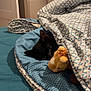 animal, bed, black_cat, blanket, cat, comfort, cozy, cute, fabric, furniture, home, indoor, pattern, peek, pet, resting, sleepy, soft, stuffed_animal, toy