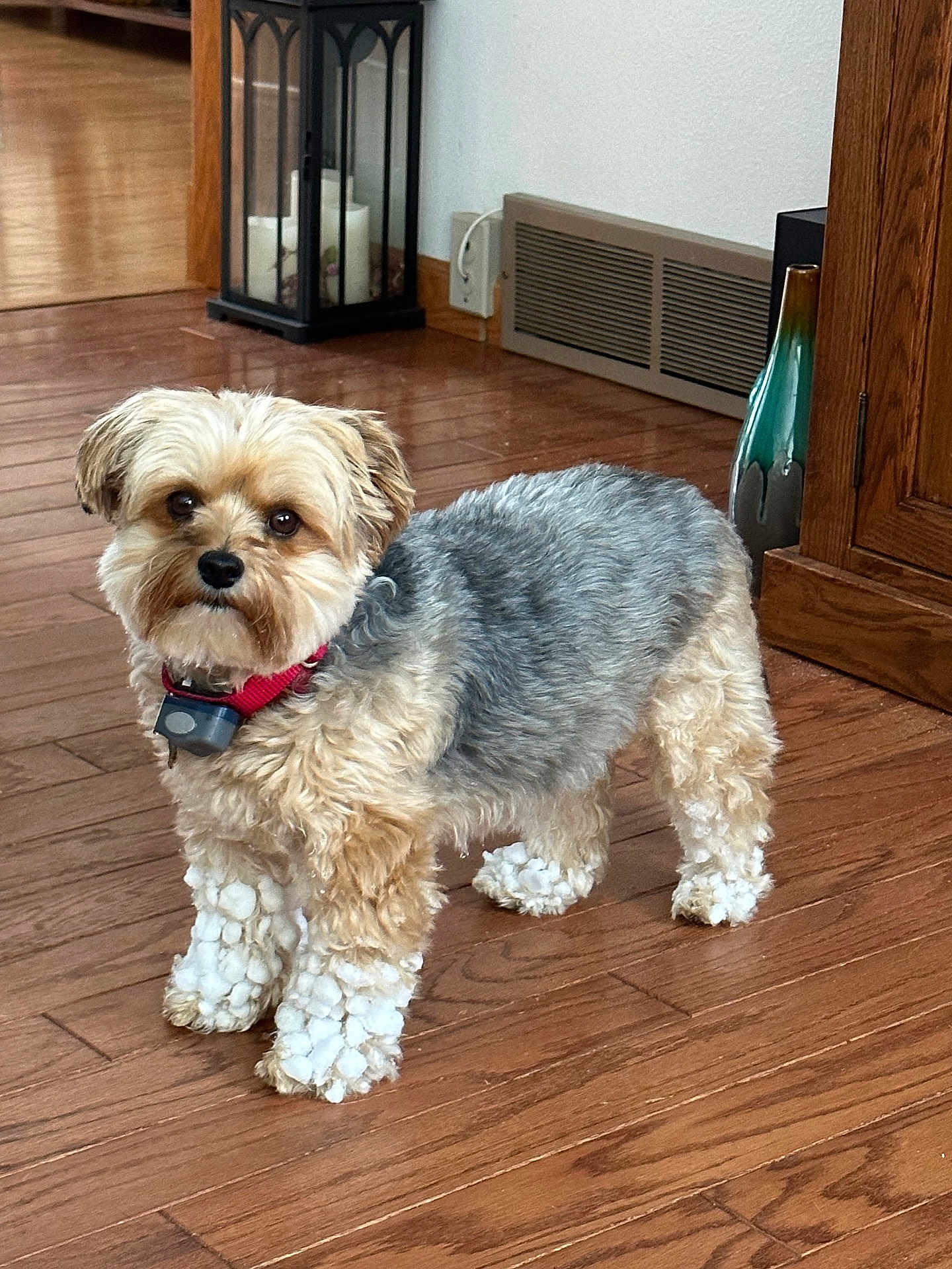 Chloe