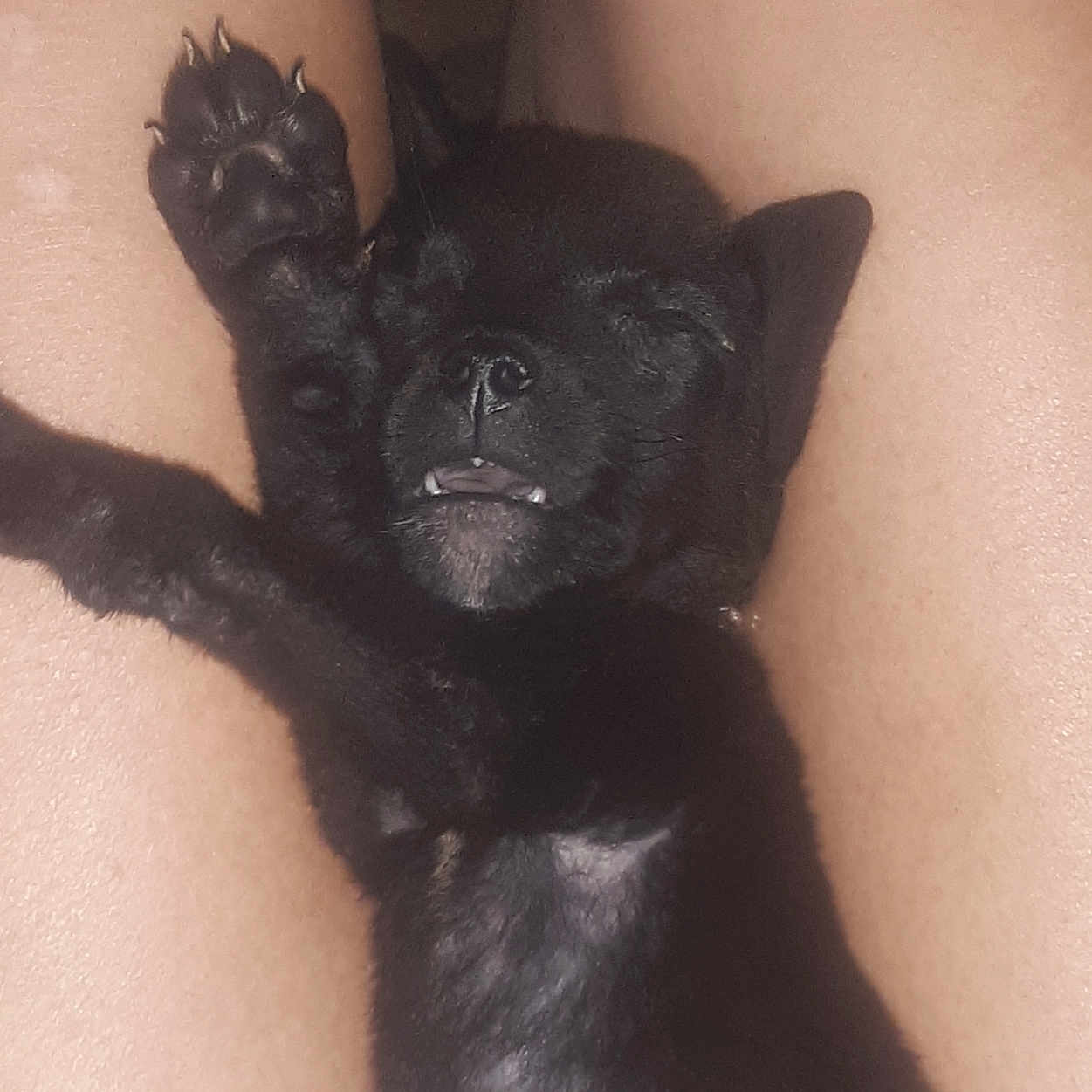 Little Bit Cooper