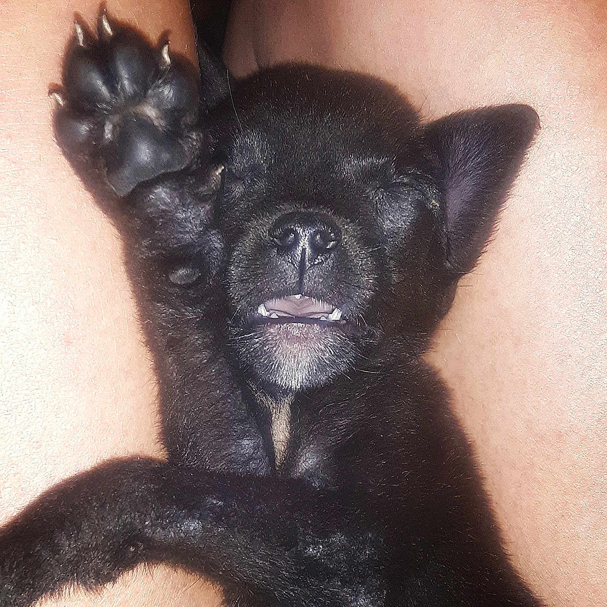 Lil Bit Cooper