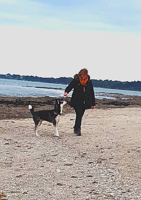Haroun participe au concours pour gagner de l'argent avec cette photo : beach, canidae, carnivore, cloud, companion_dog, dog, dog_breed, dog_hiking, dog_walking, horizon, lake, leisure, ocean, recreation, sand, sky, sporting_group, walking, water, winter