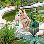 dog, garden, pond, metal_sculpture, frog_statue, bird_statue, greenery, flowers, grass, plants, outdoor, pet, leash, nature, water, decor, animal, sitting, daylight, yard