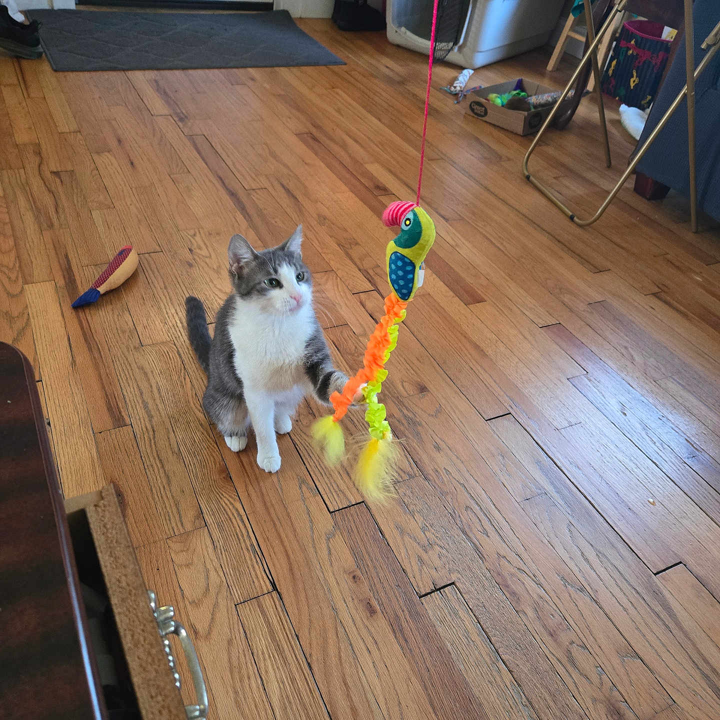 Elsa