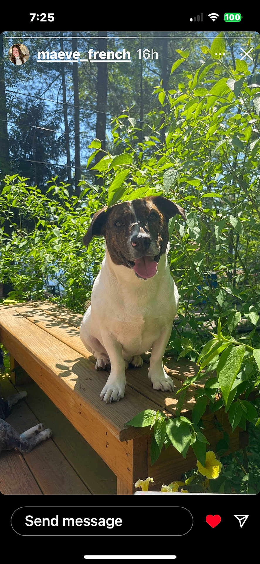 Remington