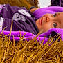 autumn, baby, blanket, child, clothing, colorful, curious, eyes, face, field, grass, head, laying, nature, outdoor, portrait, purple, relaxing, soft, young