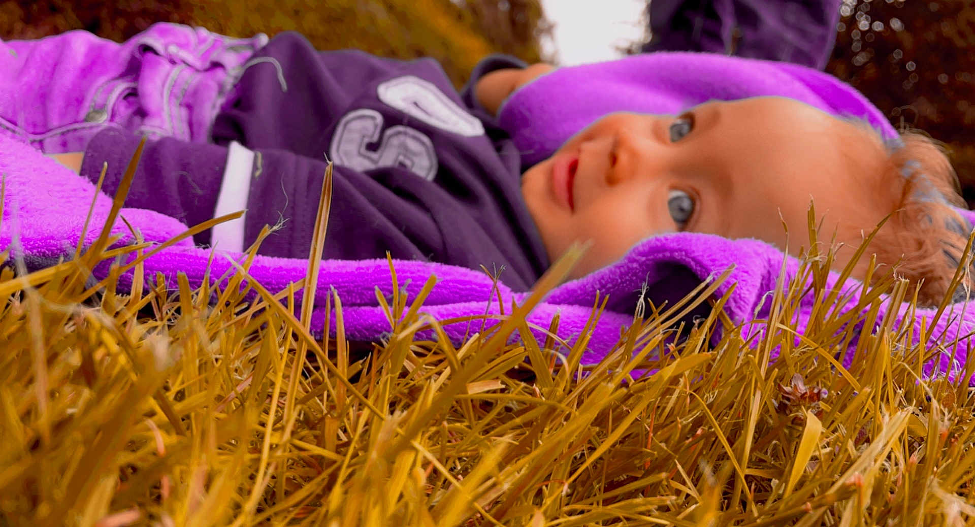 Kyllian participe au concours pour gagner de l'argent avec cette photo : child, blanket, grass, purple, outdoor, nature, curious, face, portrait, young, baby, clothing, autumn, field, relaxing, soft, eyes, head, laying, colorful