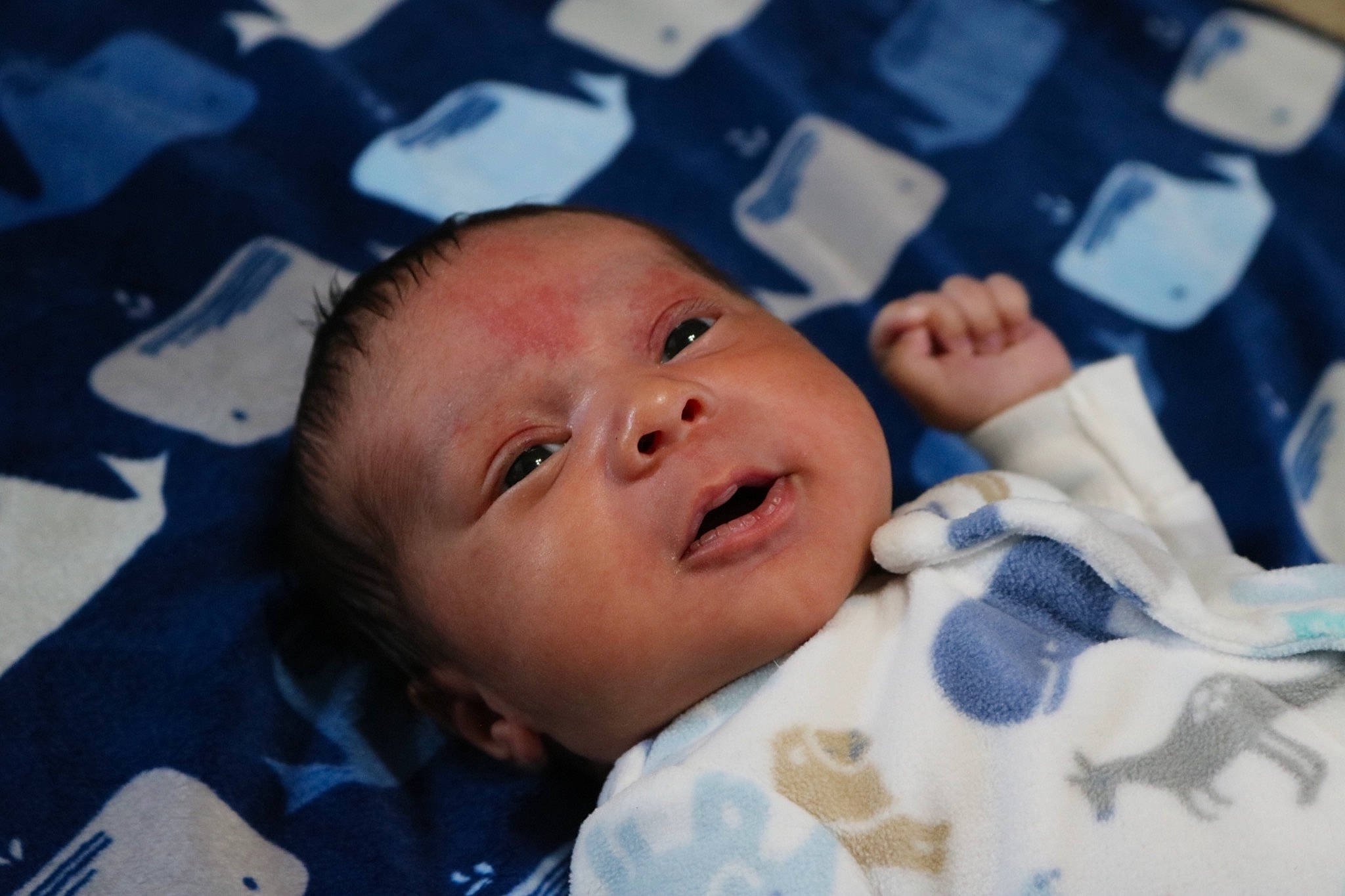 Azrael is registered to the contest to win money with this photo: baby, blue, cheek, child, eye, face, facial_expression, head, lip, mouth, nose, person, skin, smile, toddler