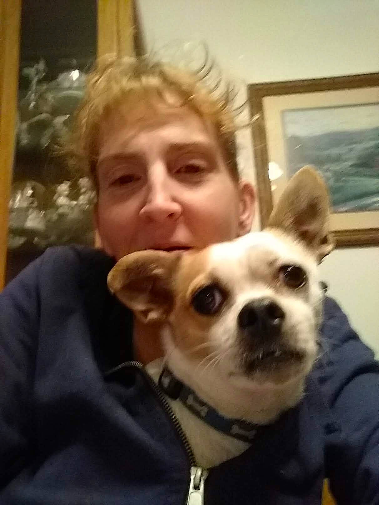 Gizmo joined the competition — help win amazing prizes! carnivore, companion_dog, dog, dog_breed, dog_supply, ear, eye, eyewear, fawn, fur, happy, picture_frame, smile, snout, sporting_group, sunglasses, toy_dog, vision_care, whiskers, window