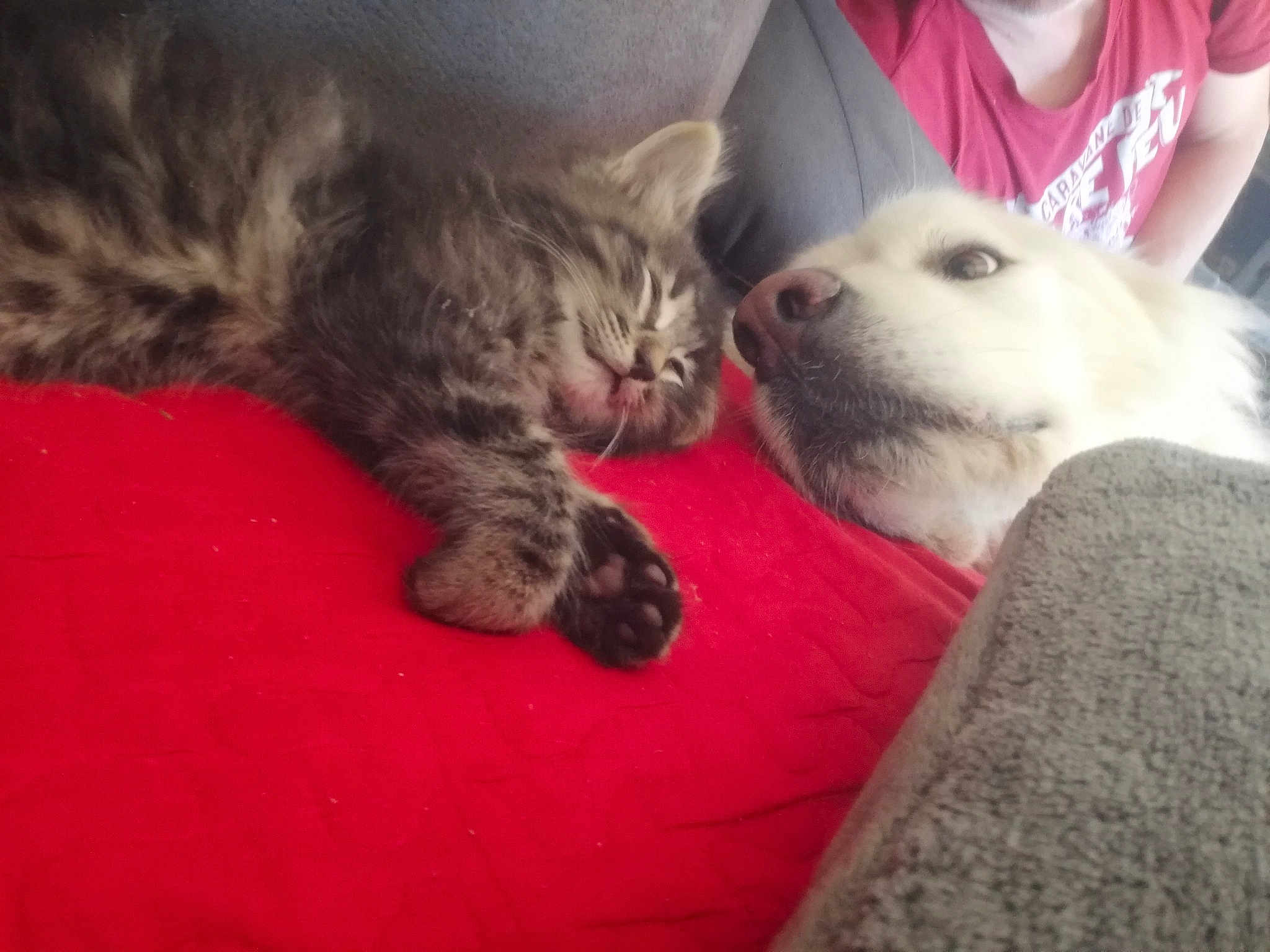 Nours
