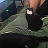 black_and_white_cat, cat, dog, blanket, person, legs, indoor, computer_tower, desk, green_blanket, pet, resting, cozy, furniture, animal, domestic_animal, relaxing, paw, fur, home