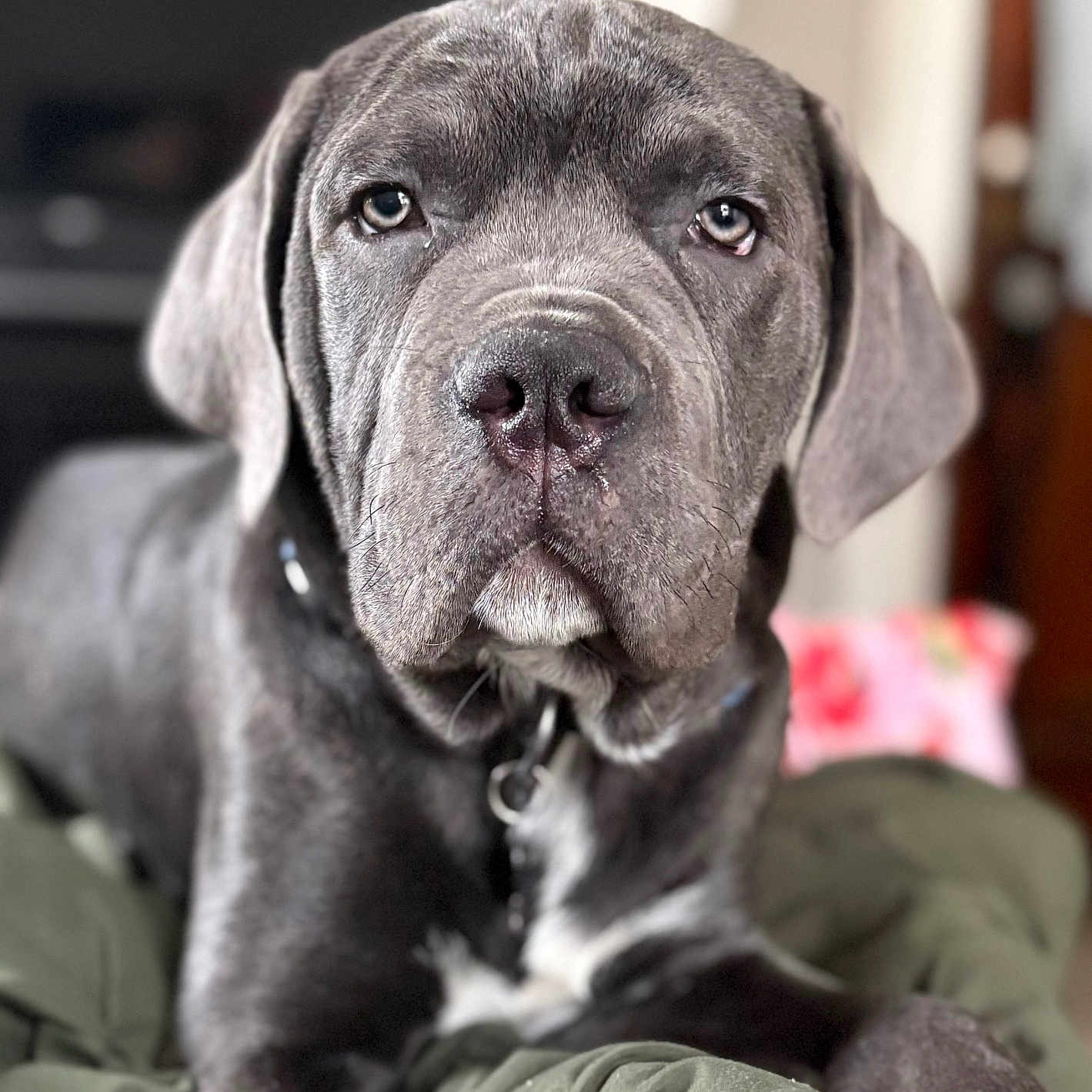 Zuko