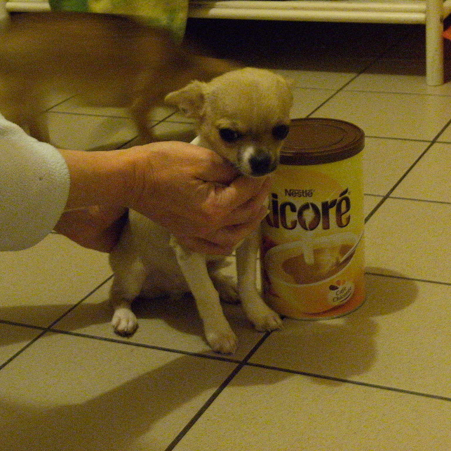 Hayko a rejoint le concours — aidez-le/la à gagner de superbes lots !