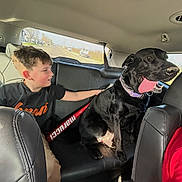 Grim is registered to the contest to win money with this photo: animal, backseat, baseball_bat, black_dog, boy, car_interior, casual_clothing, child, daytime, dog, happy, leather_seat, petting, playing, road, seatbelt, sunlight, tongue_out, travel, window