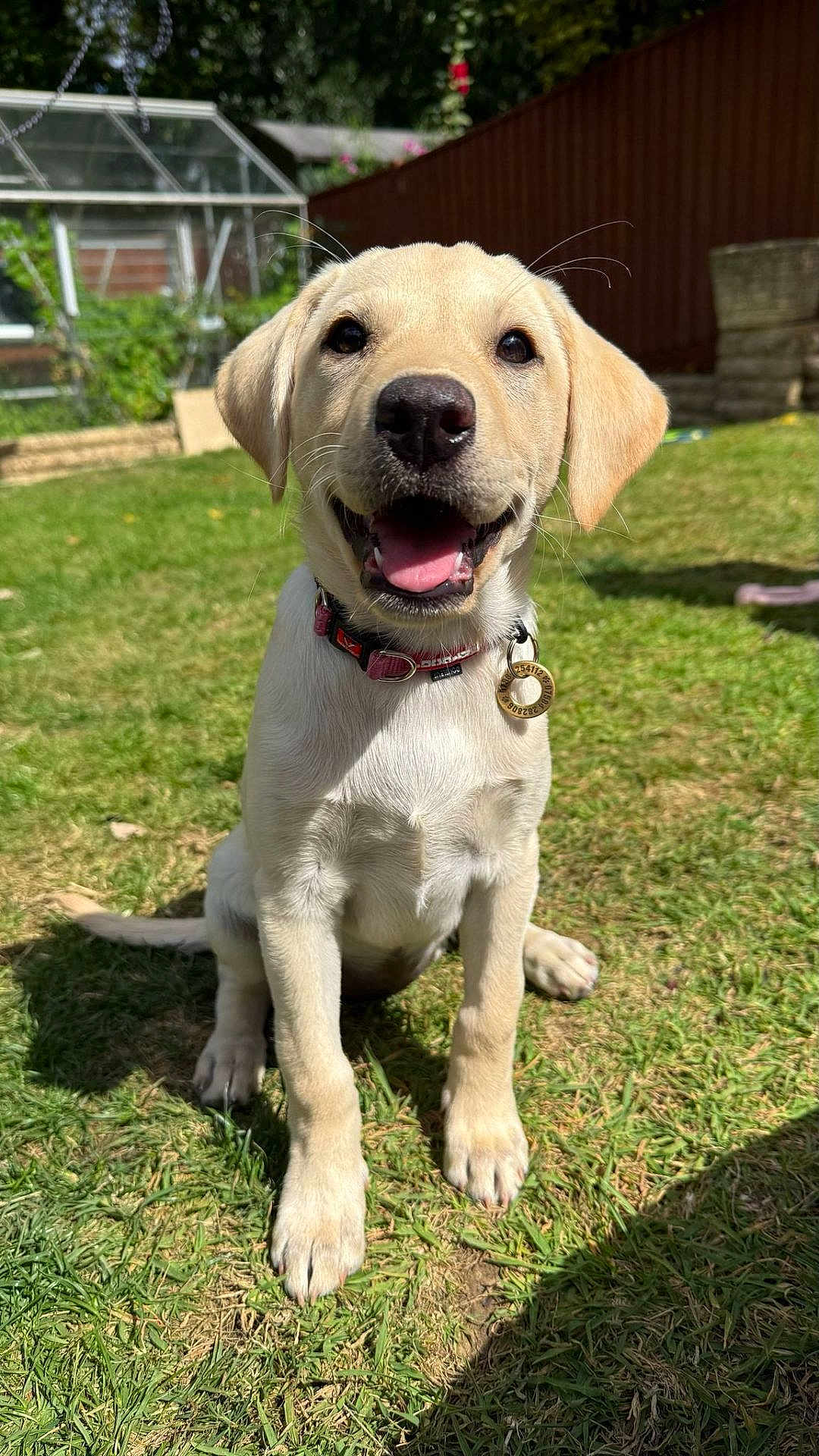 Molly
