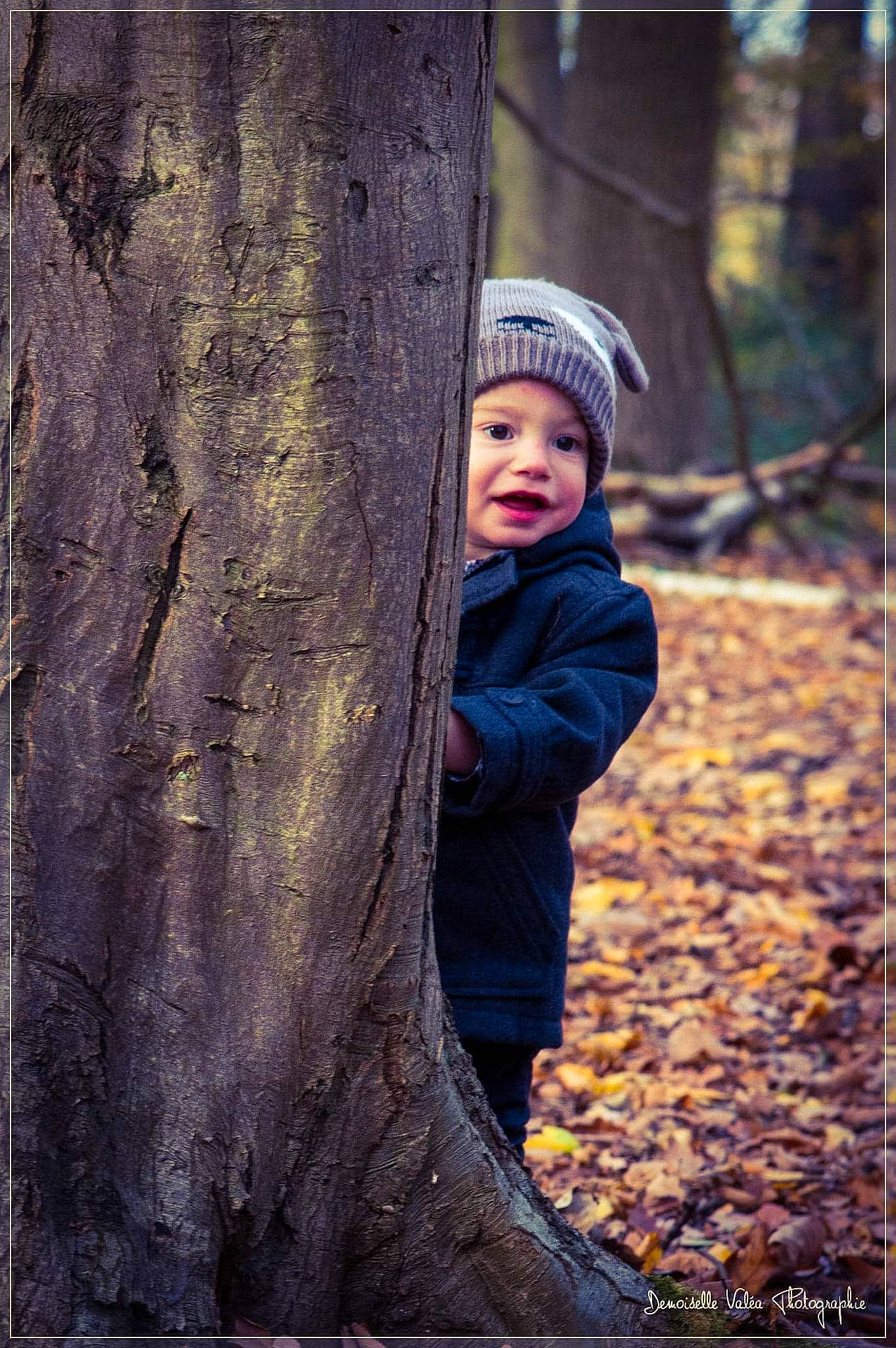 Luciano participe au concours pour gagner de l'argent avec cette photo : autumn, baby, beanie, child_model, deciduous, headwear, human, pebble, people_in_nature, person, portrait_photography, toddler, trunk