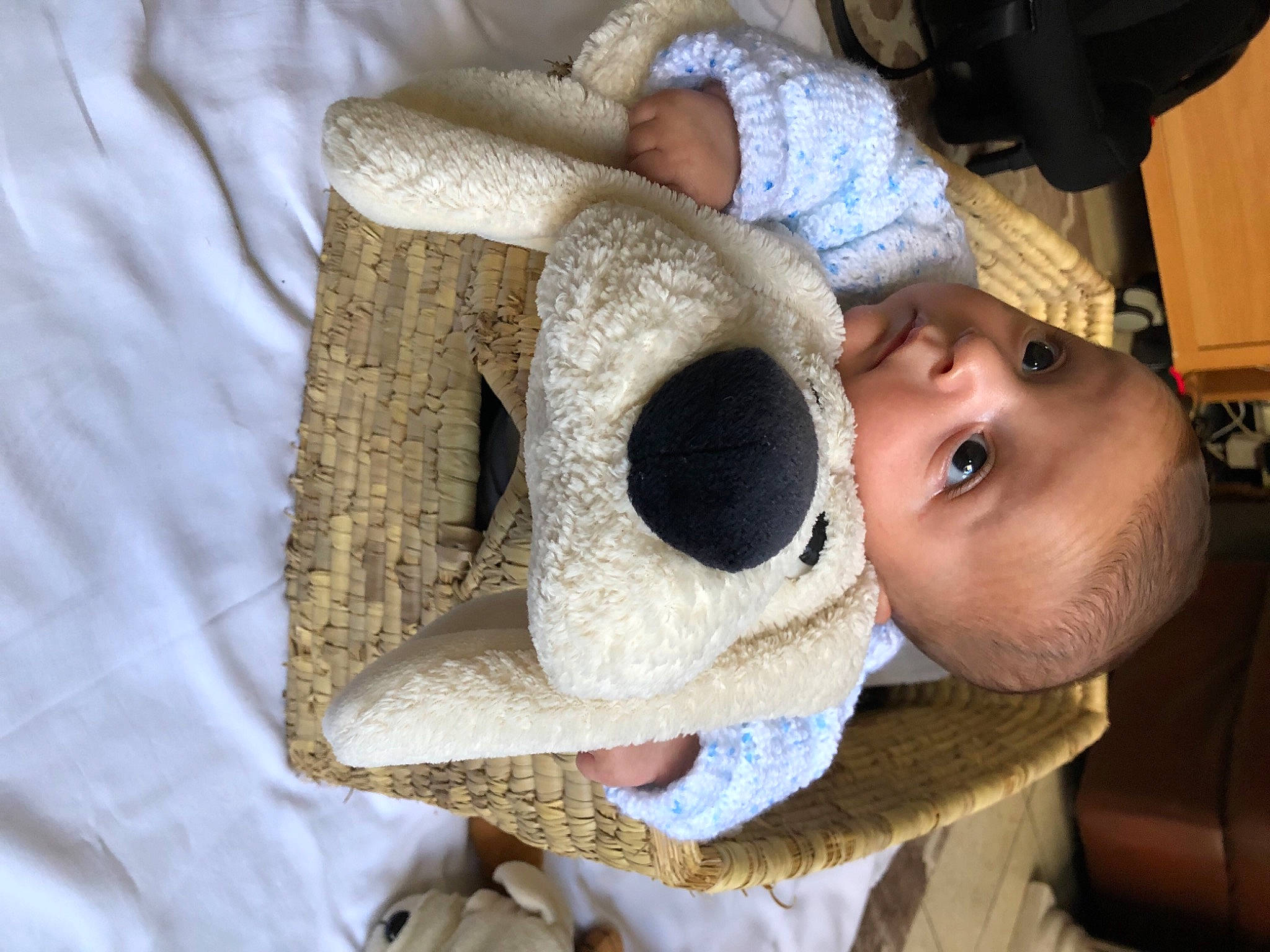 Ricardo a rejoint le concours — aidez-le/la à gagner de superbes lots ! baby, cap, cheek, child, comfort, ear, eye, eyelash, eyewear, fur, hat, head, headgear, nose, person, skin, stuffed_toy, sun_hat, toddler, white