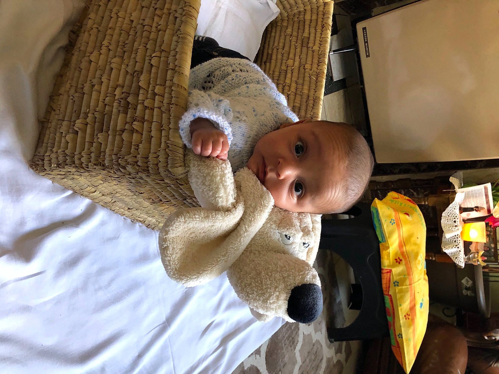 Ricardo a rejoint le concours — aidez-le/la à gagner de superbes lots ! baby, child, comfort, computer_monitor, fun, fur, knit_cap, linens, person, room, surprise, television, textile, toddler, tree, winter, wood, wool, woolen